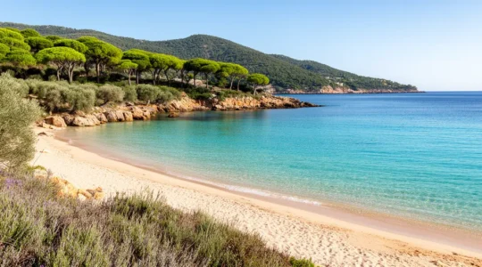 Plage de sable fin avec eau turquoise et collines boisées du Lavandou